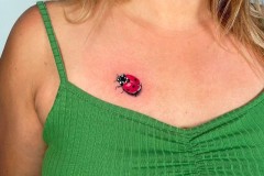 tatuaggio di una coccinella su petto