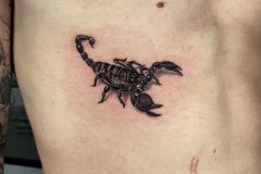 tatuaggio-petto-21
